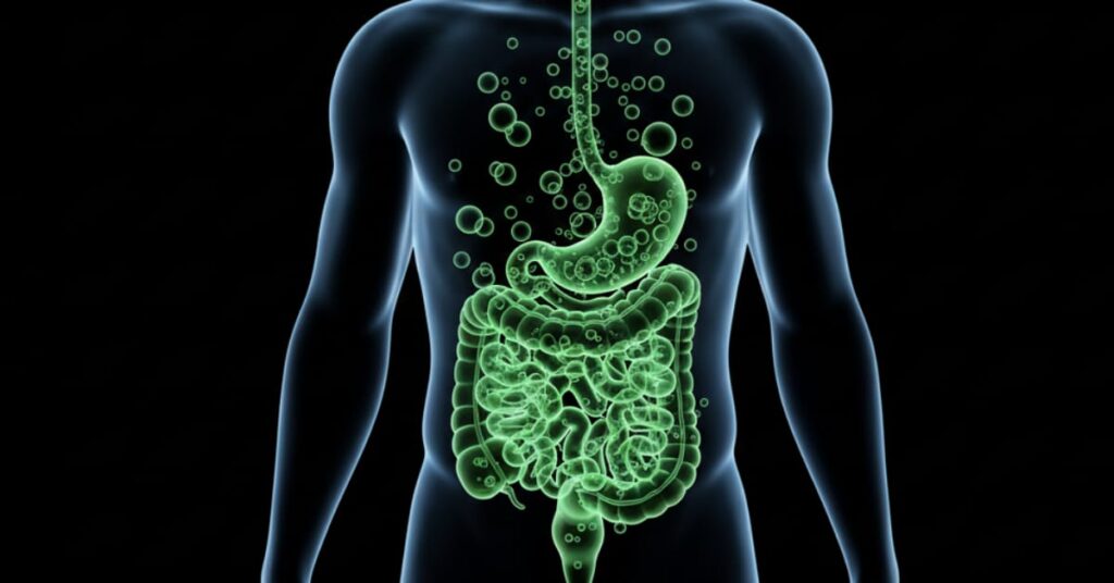 Illustration of gas bubbles building up inside the human body